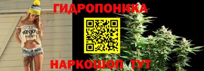 ГАЛЛЮЦИНОГЕННЫЕ ГРИБЫ Моздок