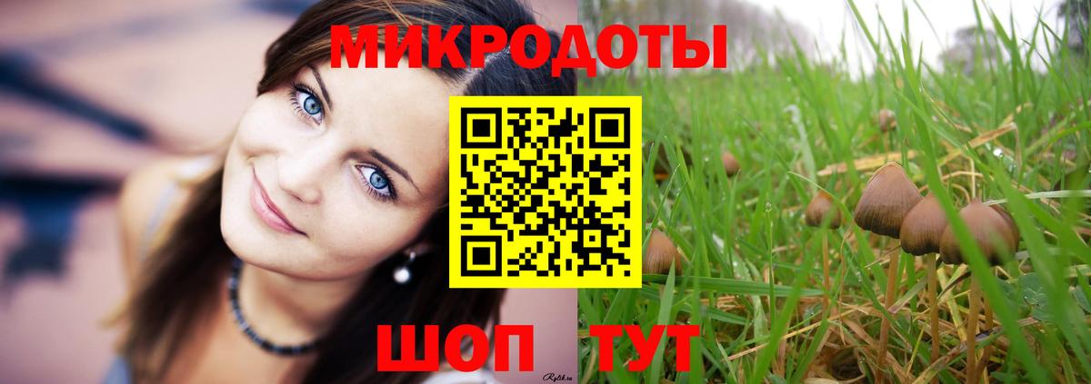 Псилоцибиновые грибы Cubensis Хабаровск