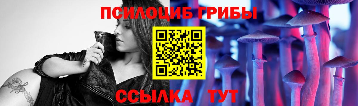 Хабаровск  Галлюциногенные грибы GOLDEN TEACHER  Вход с VPN 